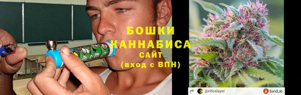 дживик Аркадак
