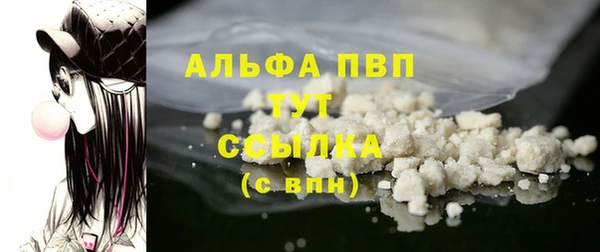 стаф Арсеньев