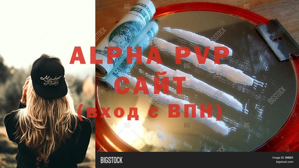 стаф Арсеньев