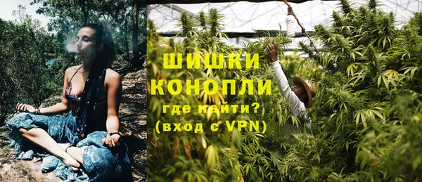 стаф Арсеньев