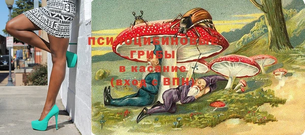 дмт Армянск