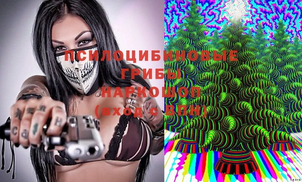 дмт Армянск