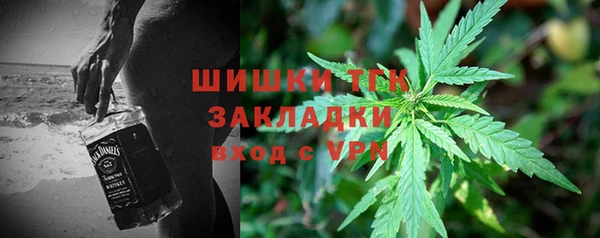 стаф Арсеньев